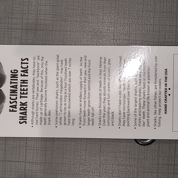 Shark 🦈 Tooth Necklace - Picture 4 of 4